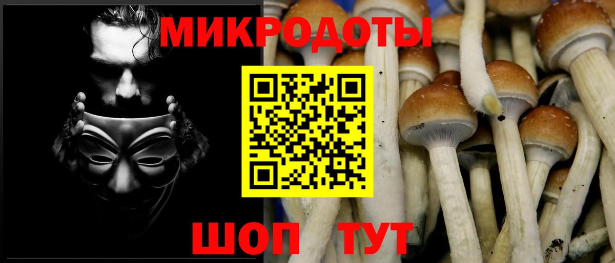 Псилоцибиновые грибы Psilocybe  Псилоцибиновые грибы мухоморы  Севастополь  Вход с VPN 